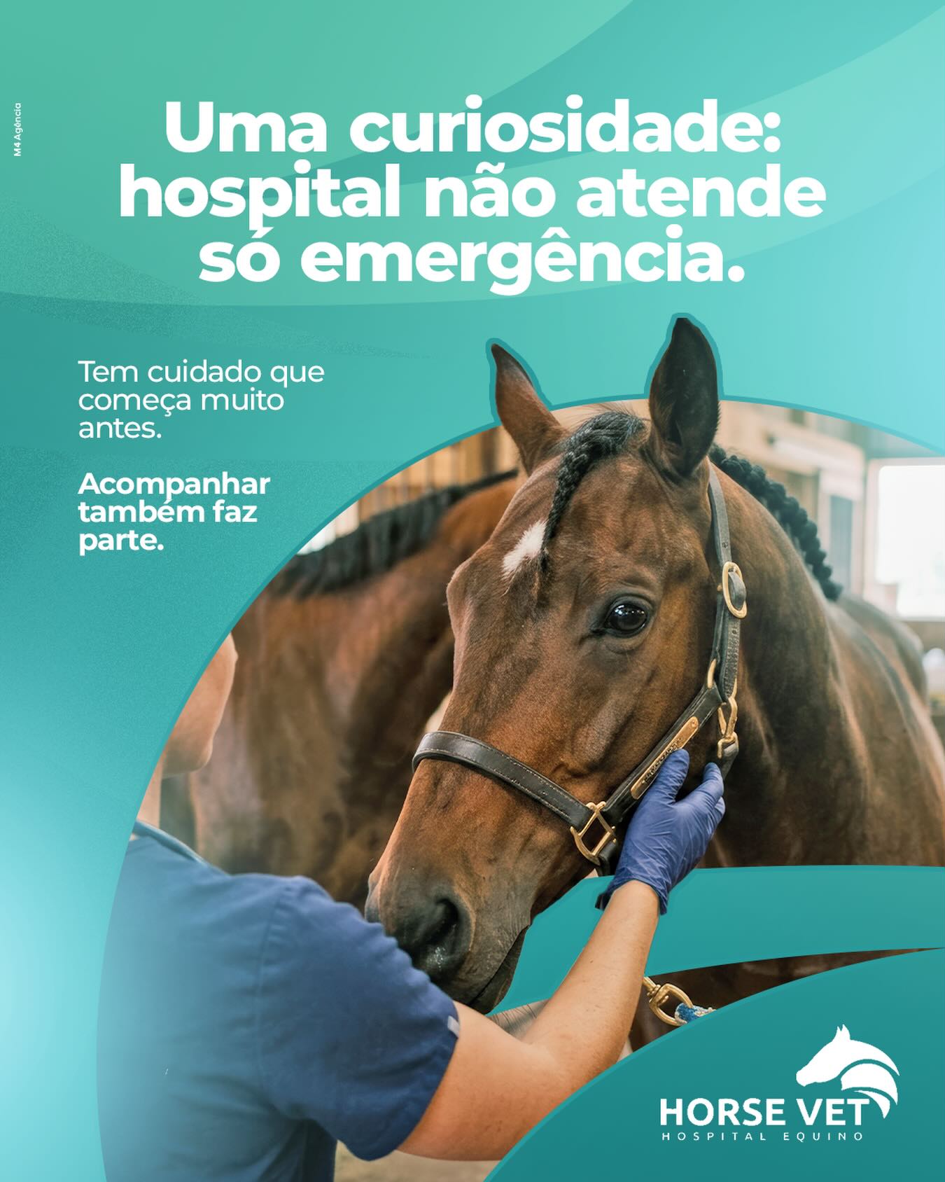 Horse Vet — Institucional